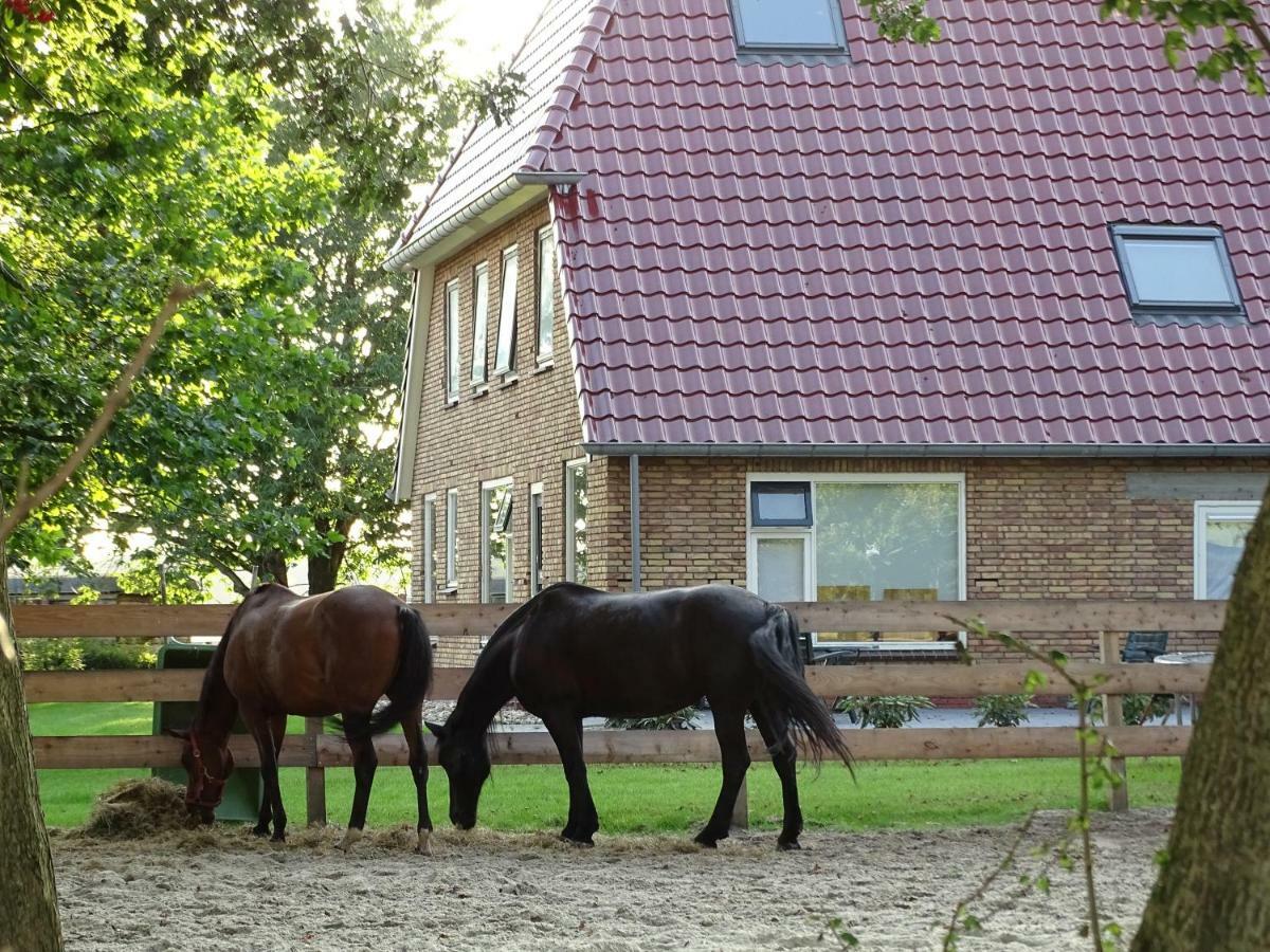 Hoeve Blitterswijk Scheerwolde Экстерьер фото